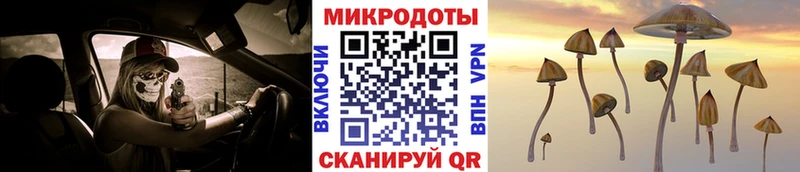 Галлюциногенные грибы GOLDEN TEACHER  Бор 